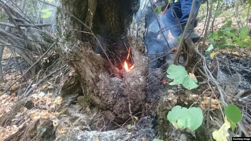 Қарағанды облысындағы ұлттық парк орманы өртеніп жатыр