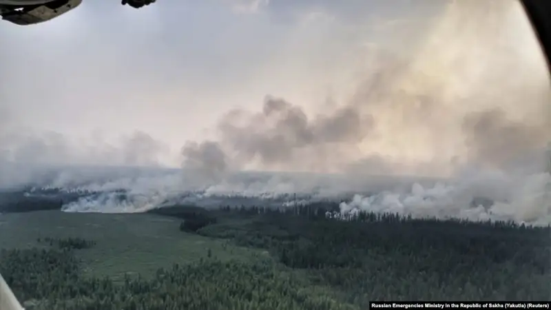 Greenpeace: Сібір орманындағы өрттен 13 мыңдай аң зардап шеккен