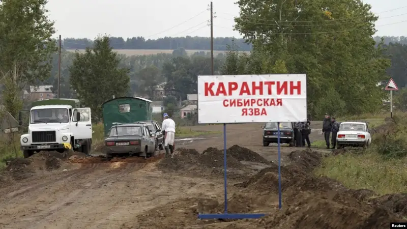 Ақмола облысында сібір жарасы шыққан ауылда карантин жарияланды