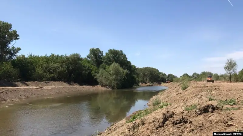 Ақтөбе өзендерін тазалаған кезде ағаштарды отағандар үстінен іс қозғалды