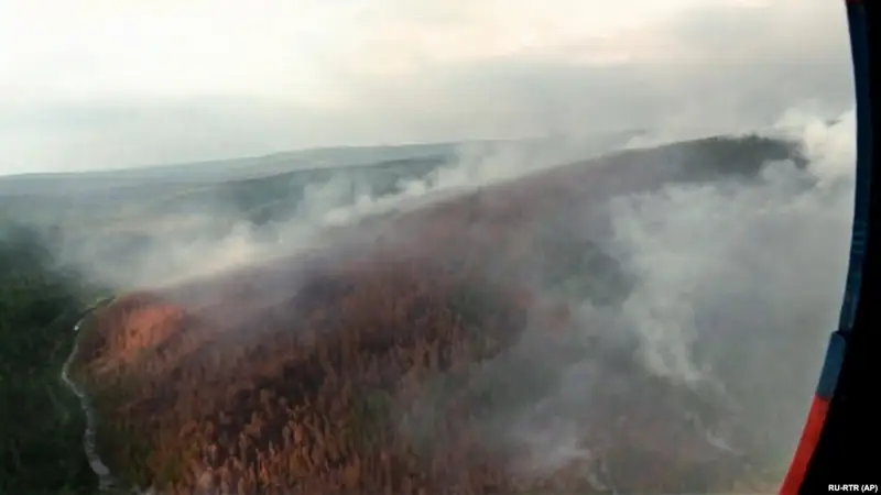 Greenpeace: Ресейде 5 млн гектар орман өртенді