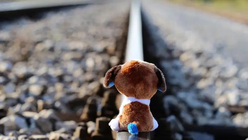 Буллинг - суицидтік әрекет себептерінің бірі