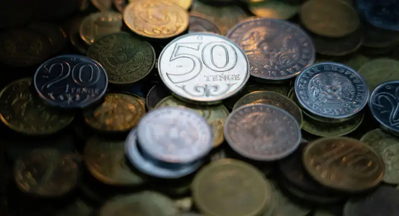 Қазақстан халқына қорына ең ірі сома түсті