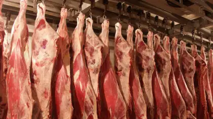 Мал арзан, ет қымбат. Неге?