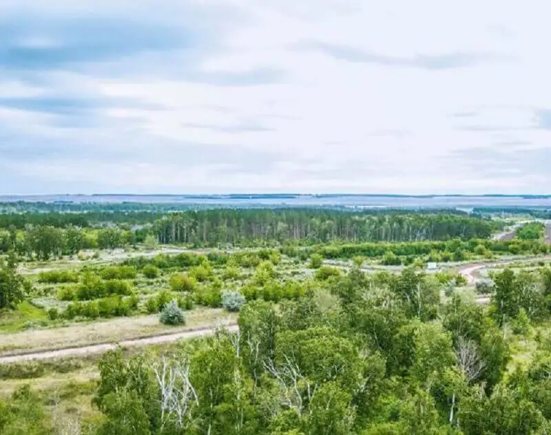 Қарағанды билігі жасыл желекке неге шүйлікті?