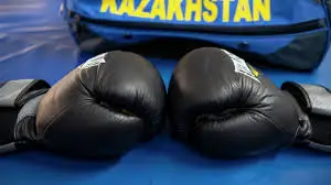 Жиырма жыл бұрынғы жеміс