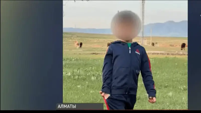 Алматыда 4 жасар бала суға толы шұңқырға құлап қайтыс болды