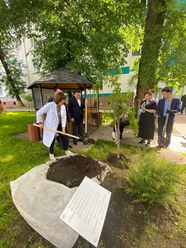 Алматыда сакура ағаштарын отырғызды