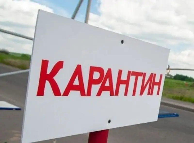 Павлодар облысында карантин күшейтіледі