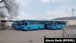 Таразда қоғамдық көліктердің басым бөлігі тоқтап тұр