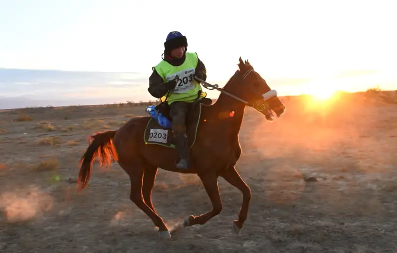 Ұлы дала жорығы: 4 ат әлемдік рекорд орнатпақ