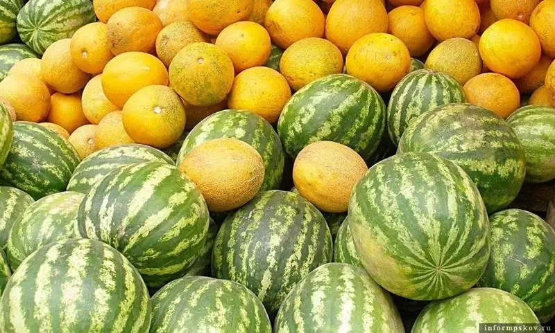 Қауын-қарбызды қайда сатамыз?