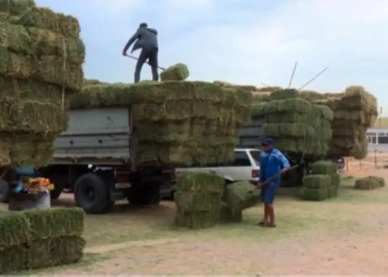 Шөптің құны!..