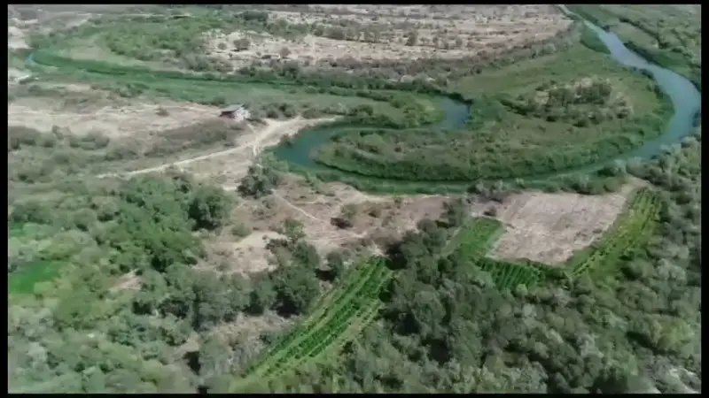 Алматы облысының тұрғынынан бес тонна қарасора мен қару тәркіленді