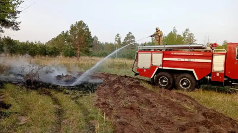 Өрт сөндіруші: «Өшіріп кеткен орман қайта тұтанады»