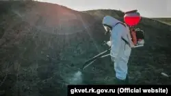 Қазақстанда бір күнде 554 адамнан COVID-19 табылған. Вирус жұқтырғандар 15 мыңға жуықтады