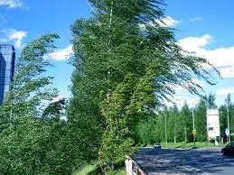 Нұр-Сұлтан мен 9 облыста ескерту жарияланды