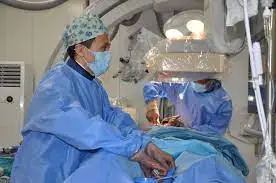 Ми тамырына жасалатын отаға тәуелділер көп