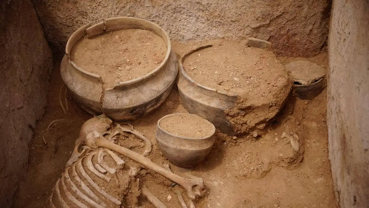 Берковамен жаңа порно фильмді көріңіз