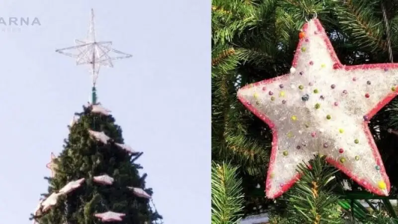Семейде екі шырша 23 млн теңге. Әкімдік мұндай бағаны қайдан алды? (видео)