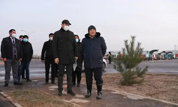 Түркістанға 10 мың түп гүжім көшеті әкелінеді