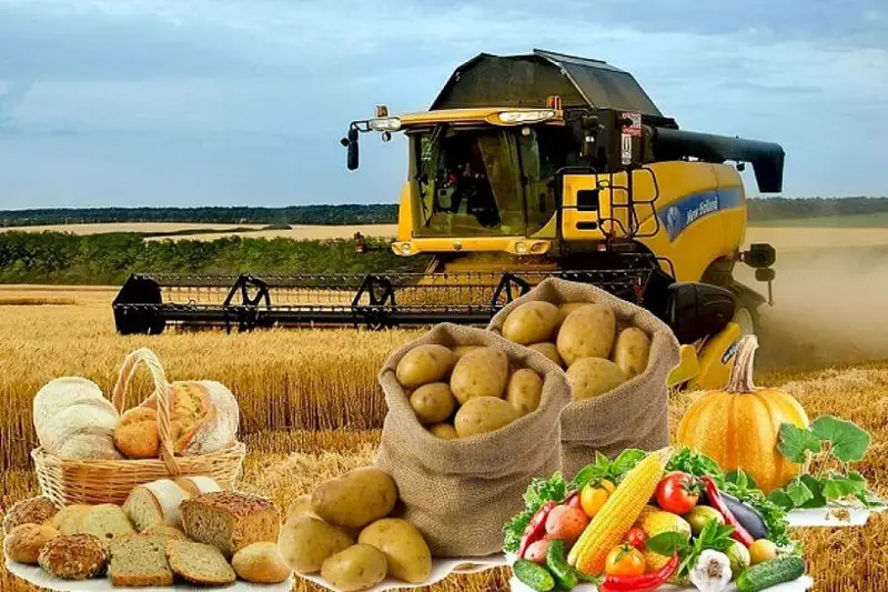 Қазақ агроөнеркәсібінің жаңа белестері қандай?