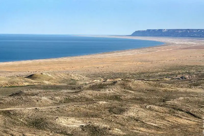 БҰҰ назар аударар еді