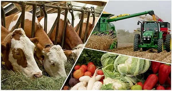 Халықты ауыл асырайтын болады