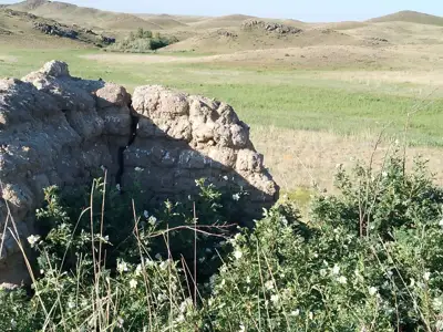 Саятқораның қазіргі жағдайы