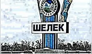 Шелек ауданы оңаша отау тігуге қауқарлы