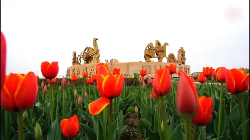 Шетелдіктер Шәмші әндерін орындады