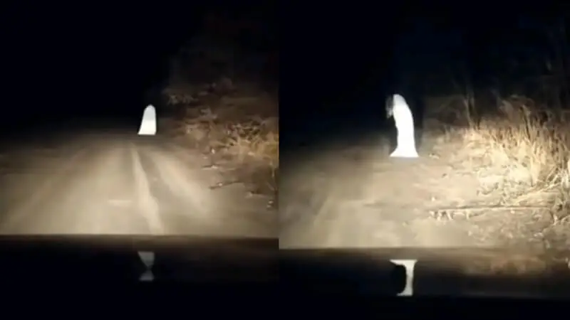 Полиция Ханкөл ауылындағы елестің ақиқатын анықтады (видео)