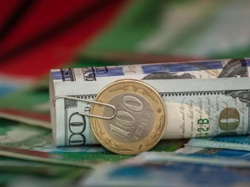 Теңселген теңге күйзелістен шыға ала ма?