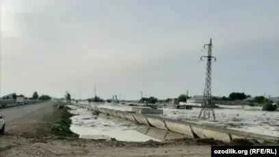 Сырдария сусыз, қазақ күрішсіз қалуы мүмкін