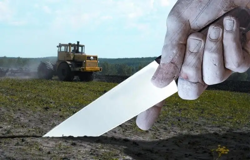 Жалға алған жерді неге сатып жатырмыз?