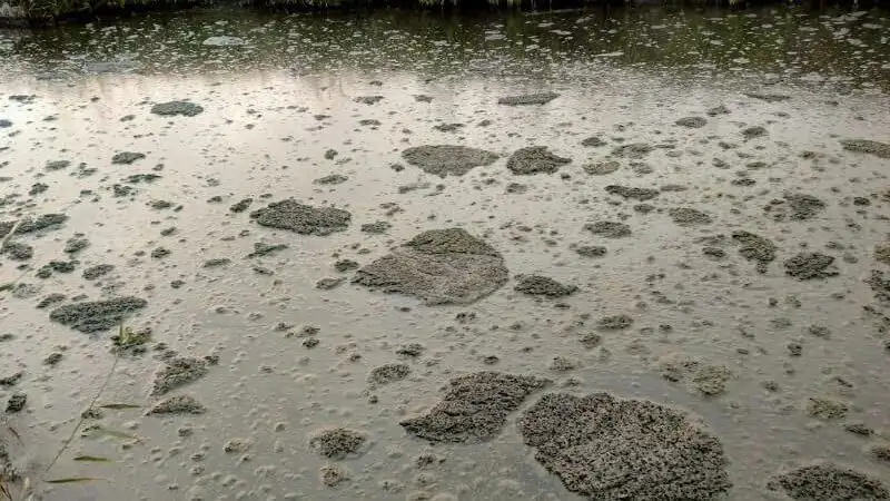 Атырауда мұнай өнімдері  суға ағып жатыр