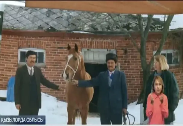 Сыр сәйгүлігі  Фин елінде бәйгенің алдын бермеген