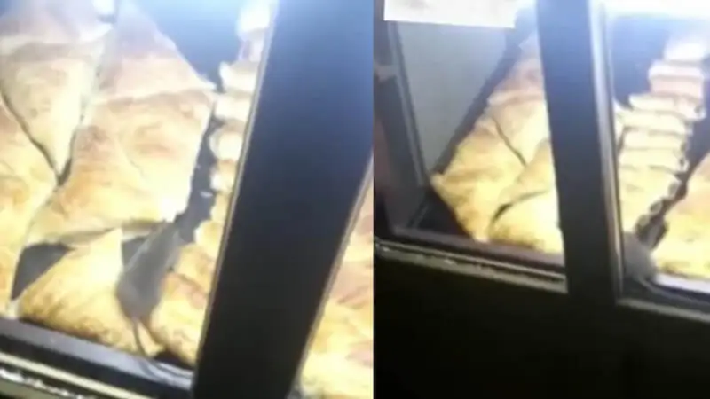 Алматыда самсаның үстінде егеуқұйрық жүр (видео)