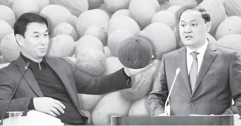 Қараусыз жатқан қауын бар, оны неге көрмейсің?