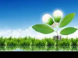 «Жасыл Қазақстан» Ұлттық жобасының басым бағыттары қандай?