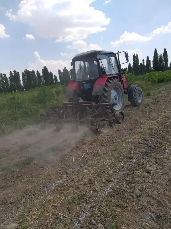 Шымкент жасыл желекке бөленуде