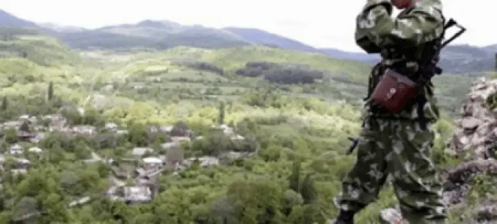 Кеурек қазған келімсектер