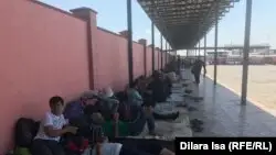 IOM Қазақстан шекарасында қалған жүздеген тәжік азаматының елге қайтуына көмектесті