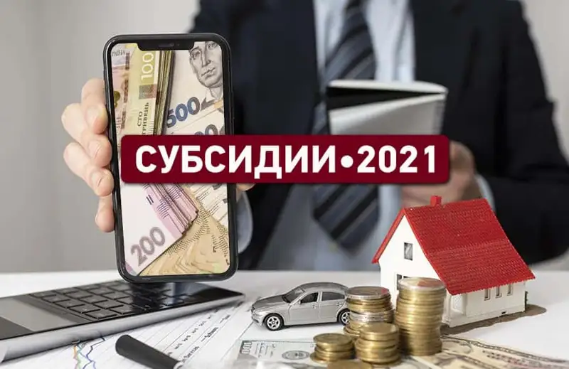 Сұғанақтар ауылға деген субсидияны тағы ұрлады