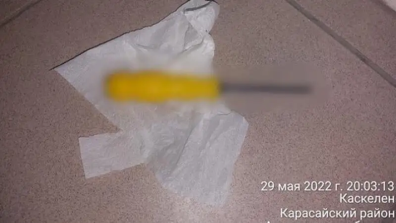 Алматы облысында жантүршігерлік оқиға болды