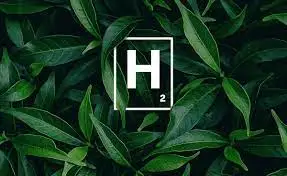 Қазақстан БАӘ компанияларымен бірге «жасыл» сутегін өндірмек