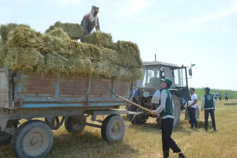 Биыл шаруалар мал азығынсыз қалуы мүмкін