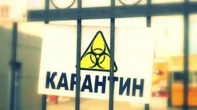 Елде төрт бірдей ауыл карантинге жабылды