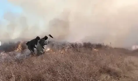 Ақтөбе мен Шығыс Қазақстан облыстарында да дала өрті тұтанды
