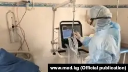 Жамбылда коронавирус табылған 17 науқастың төртеуі - Қырғызстан азаматы
